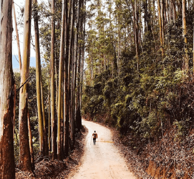 Caminho do Louvor