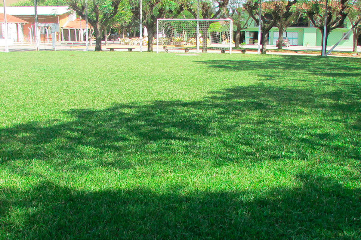 Campo de Futebol