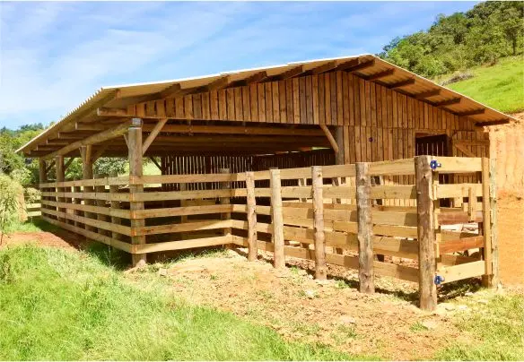 Imagem Galpão Para Confinamento