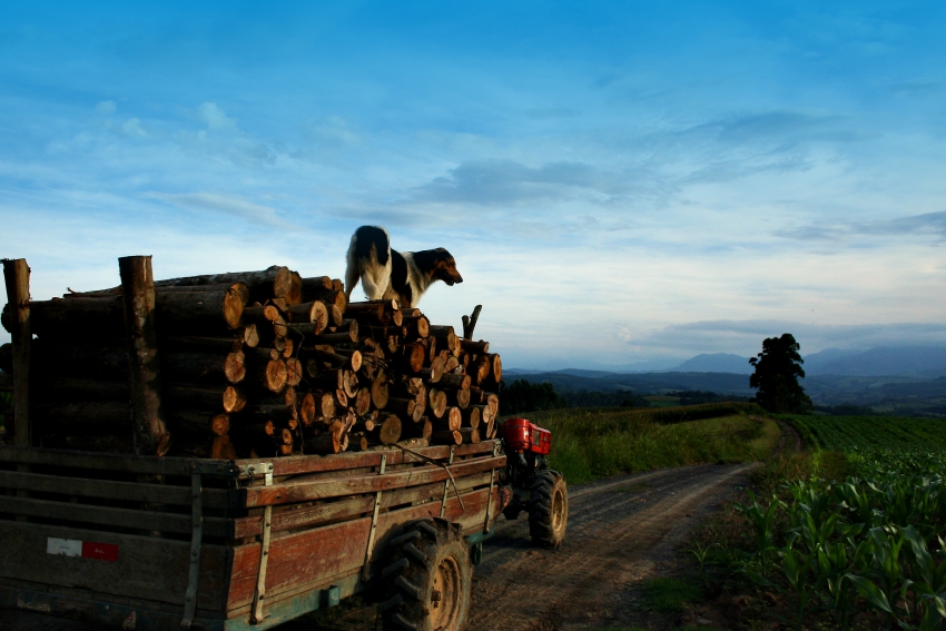 Turismo Rural