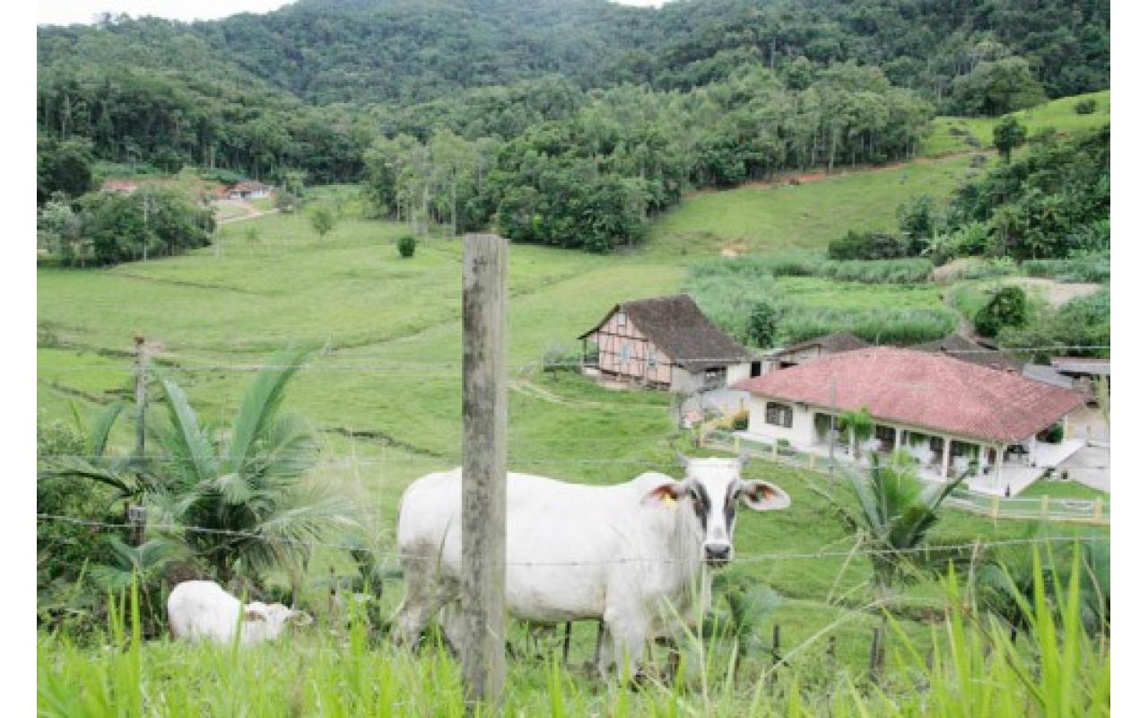 Proprietários de imóveis rurais tem até o dia 15 para emitir certificado do INCRA