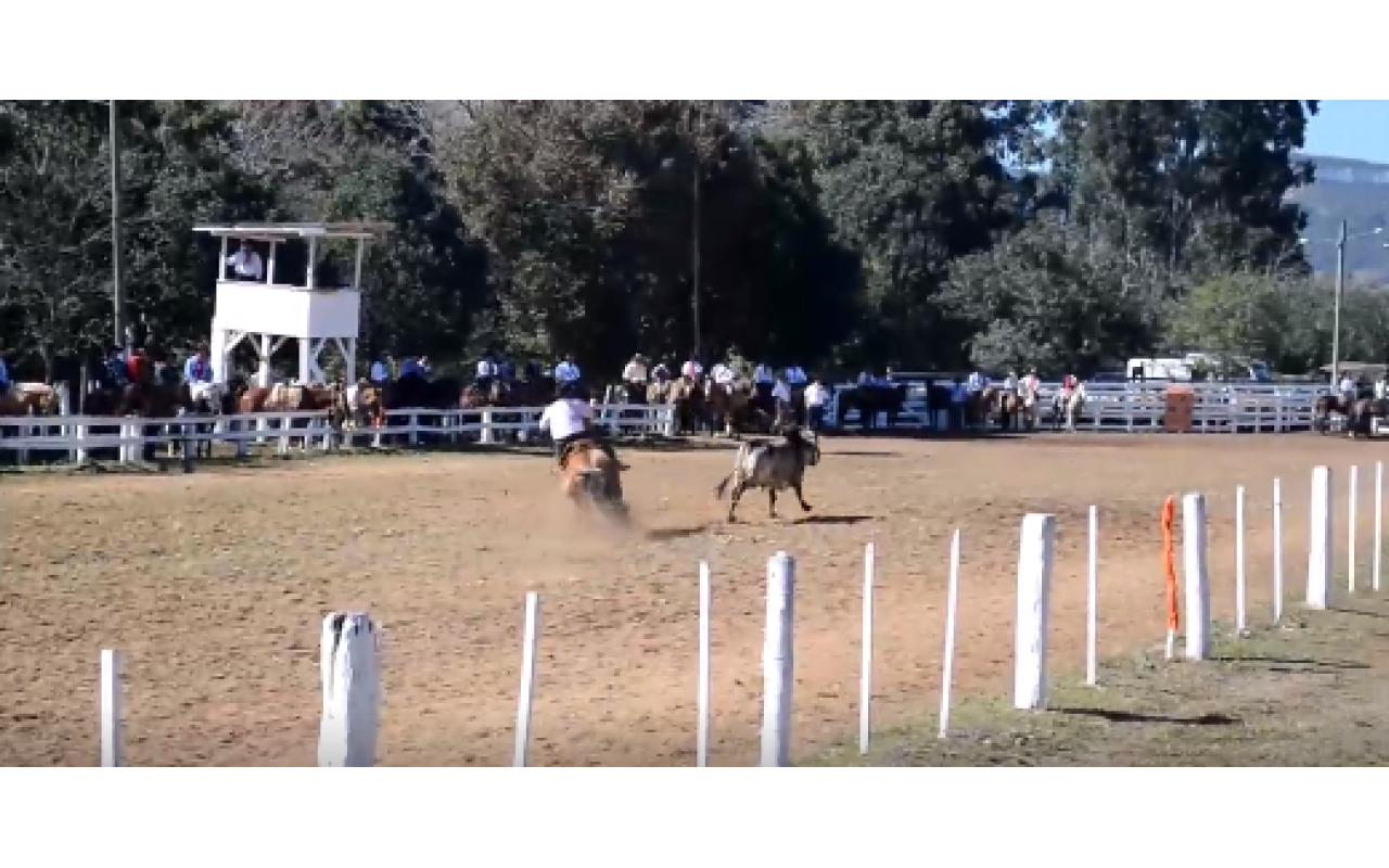 10º Cebolaço movimentou Ituporanga no último final de semana