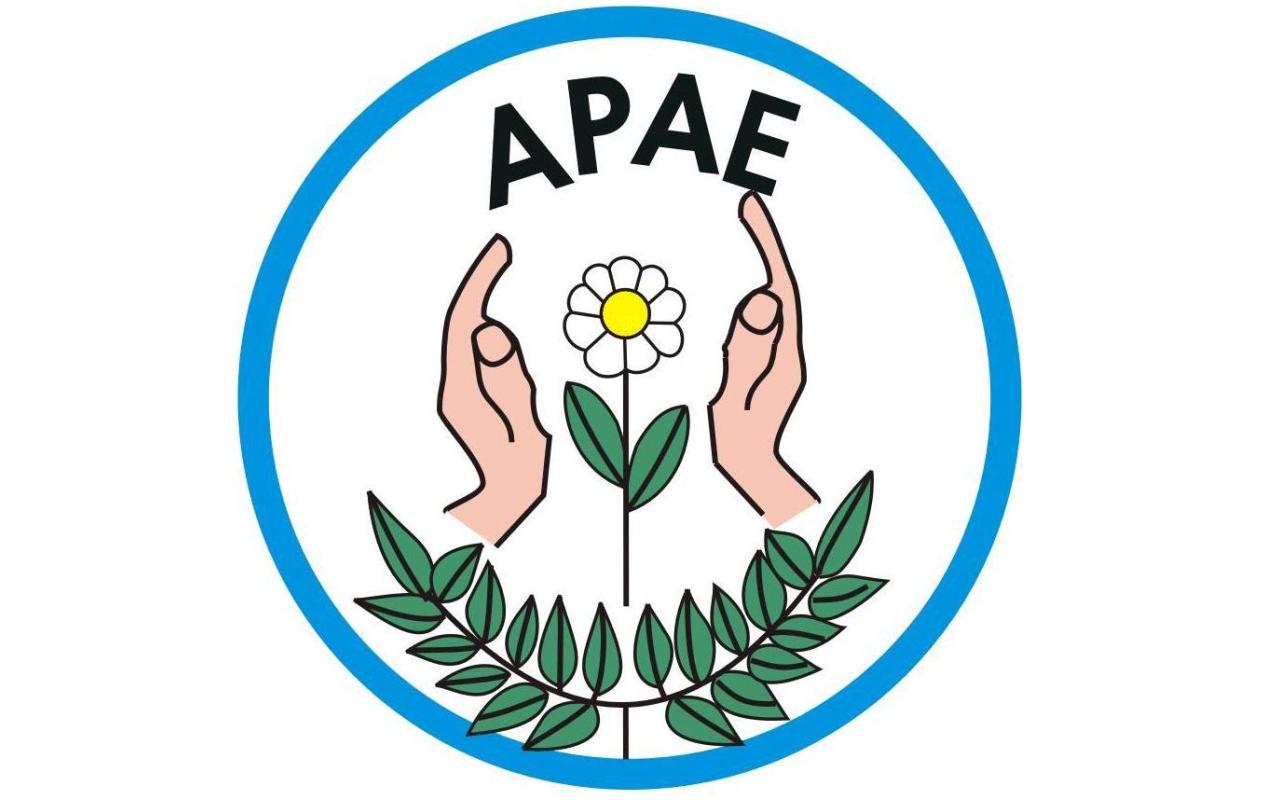 APAE de Ituporanga realiza 6ª Exposição de Trabalhos