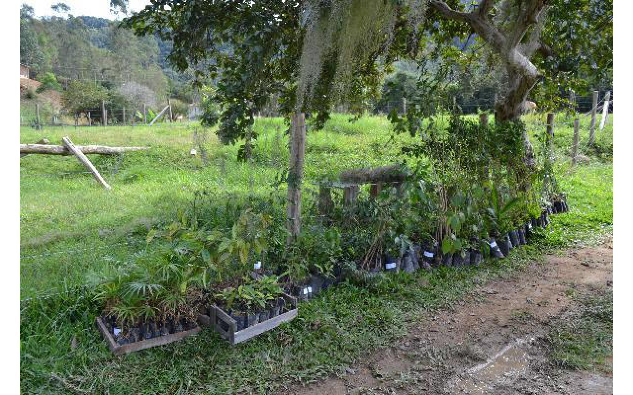 Áreas de preservação permanente serão recuperadas no Alto Vale