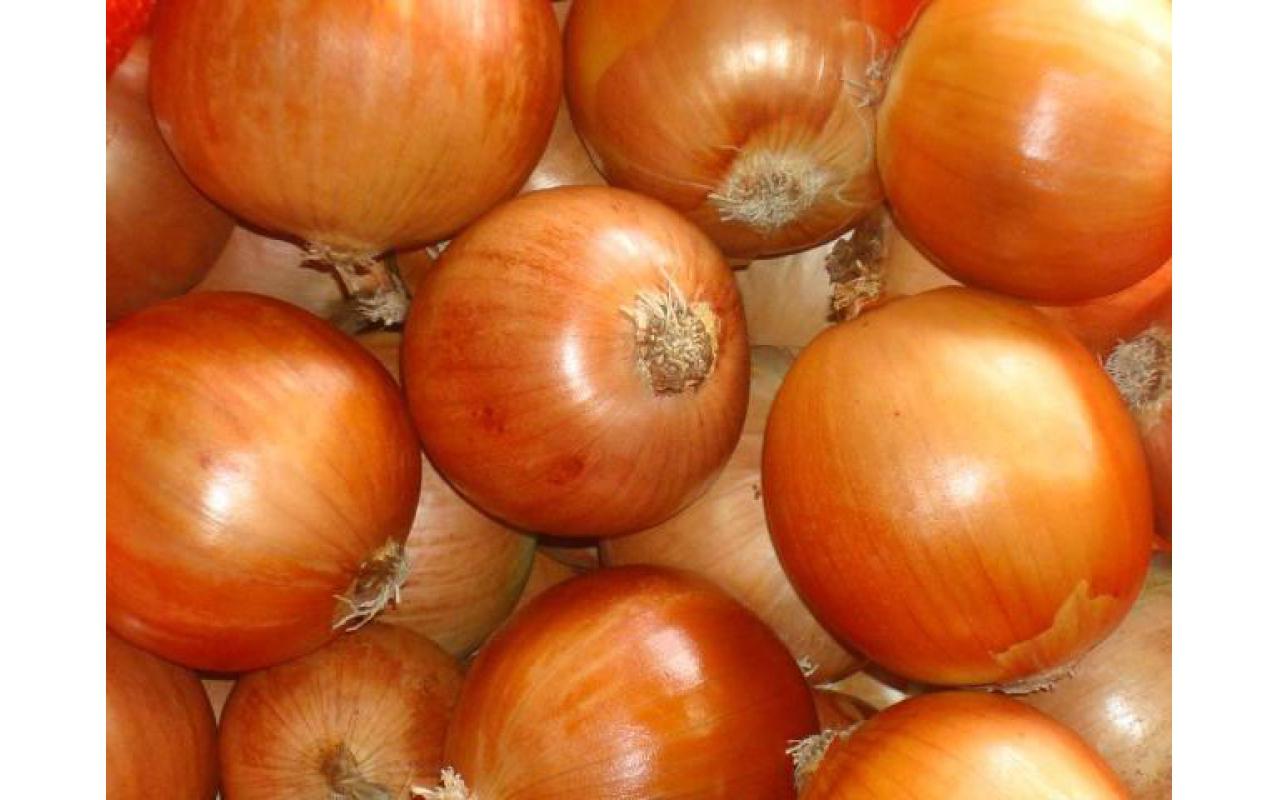 Associação de Compradores de cebola busca padronizar classificação do produto para a comercialização nesta safra