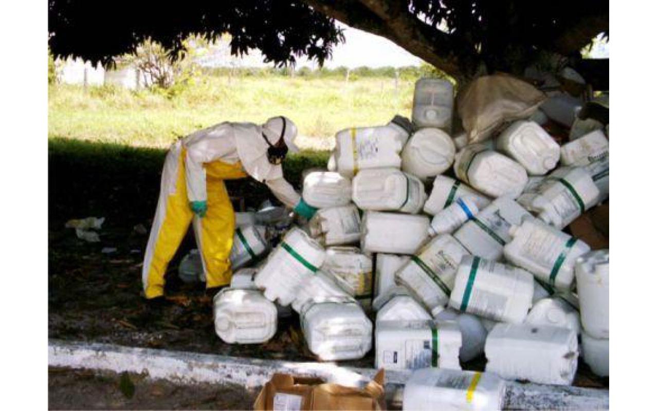 Cerca de 70 mil embalagens de agrotóxicos foram recolhidas nessa semana em Bom Retiro e Alfredo Wagner
