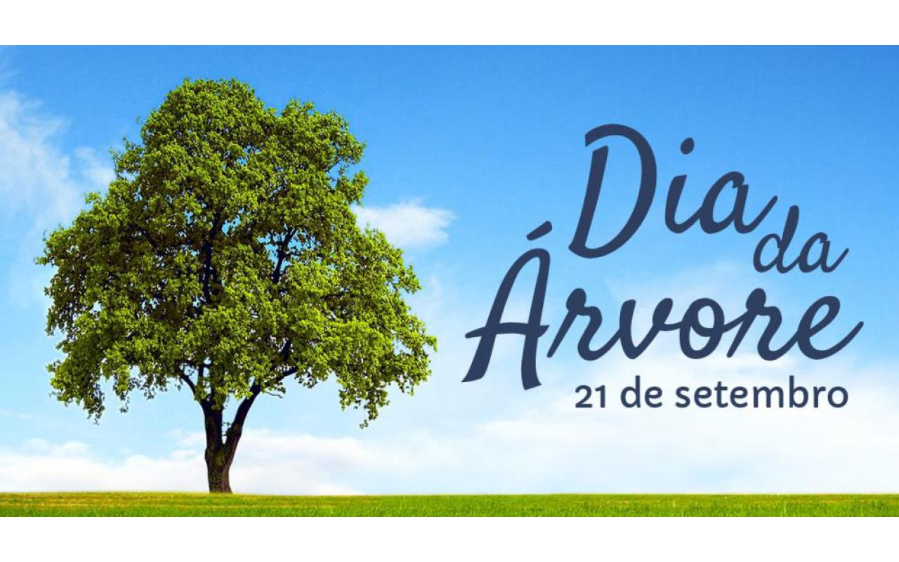 Dia da Arvore é comemorado com distribuição de mudas nativas em Ituporanga