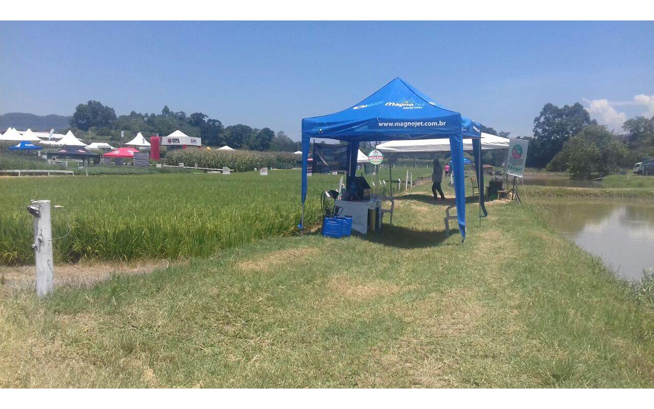 Dia de Campo Cravil reúne quase três mil pessoas