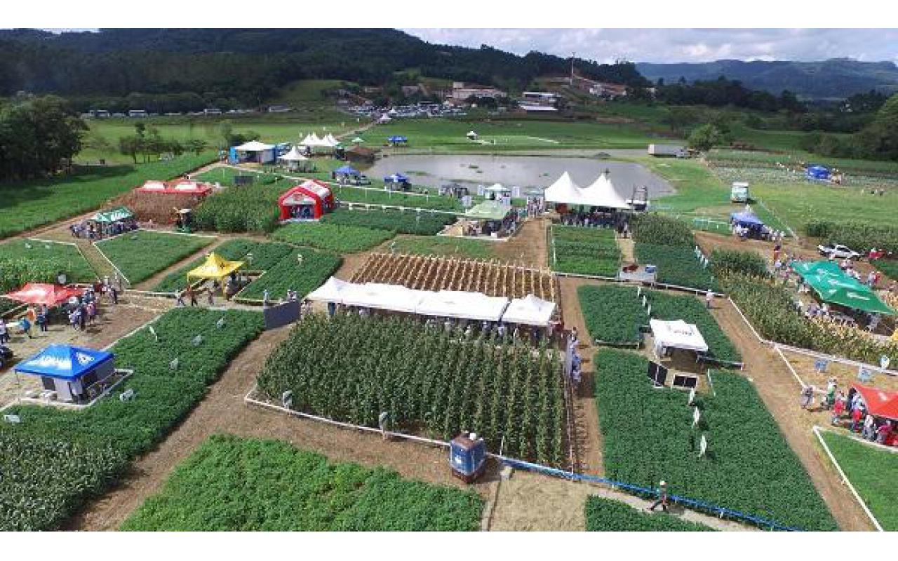 Dia de Campo Cravil vai apresentar possibilidades de produção eficiente e sustentável