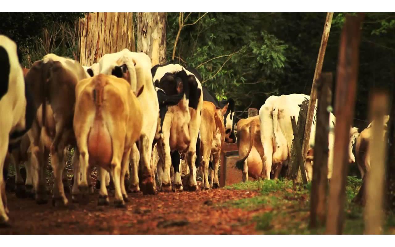 Sindicato Rural de Ituporanga abre inscrições para o curso de empreendedor rural