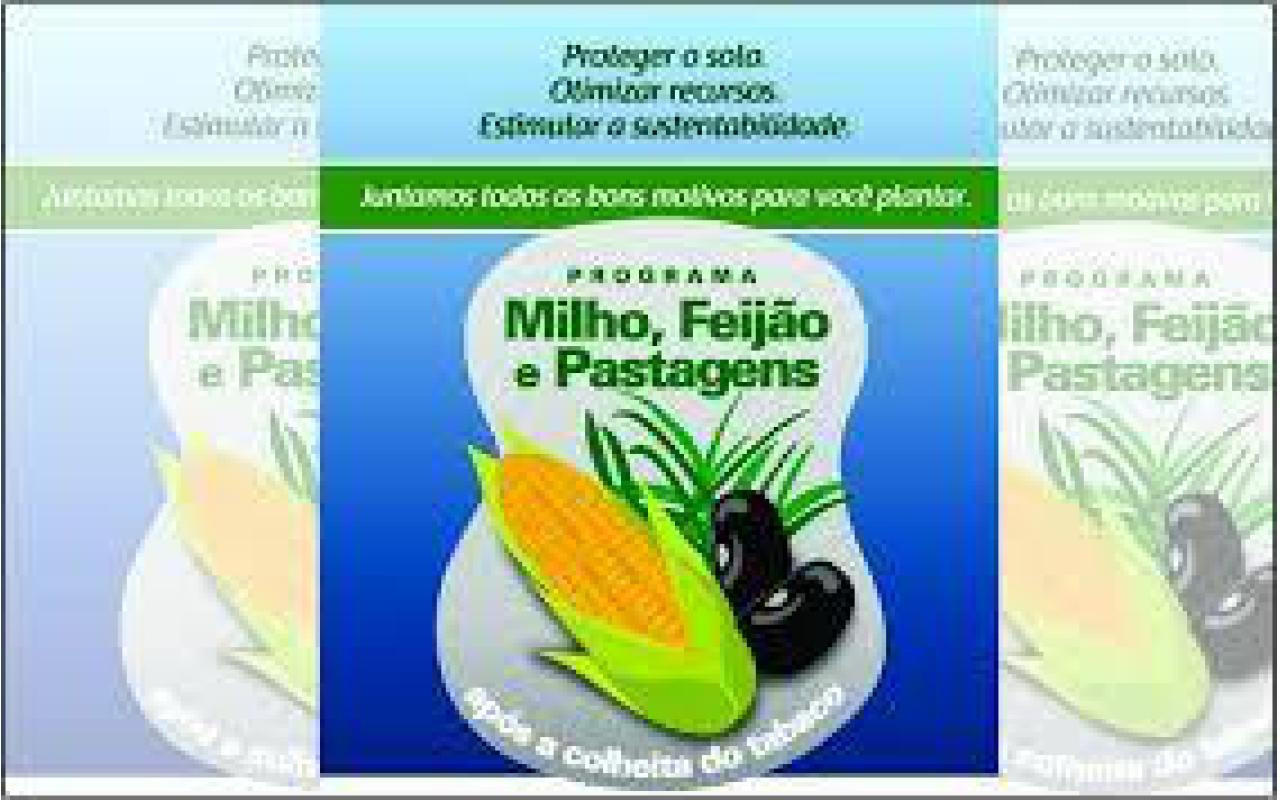 Sinditabaco orienta produtores para plantio de milho, feijão e pastagem pós colheita do fumo