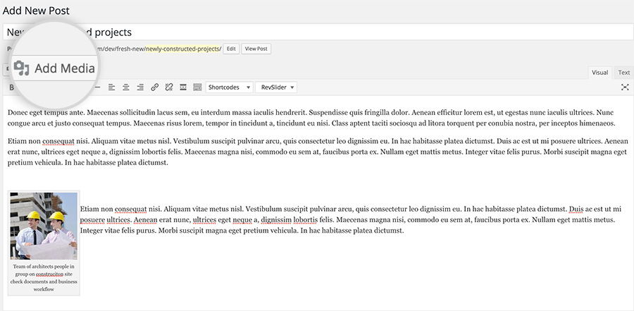 blog post add media