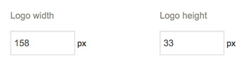 logo size